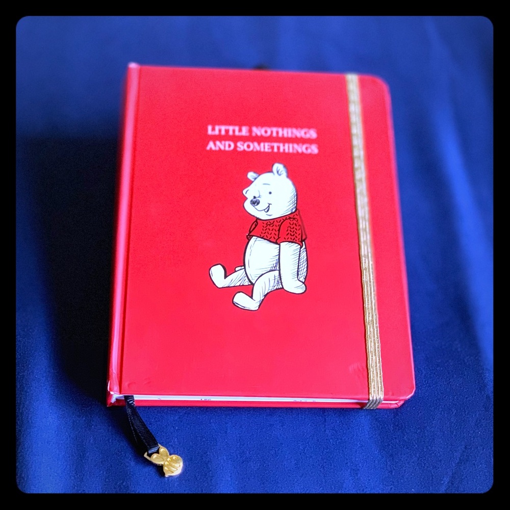 Winnie the Pooh journal!